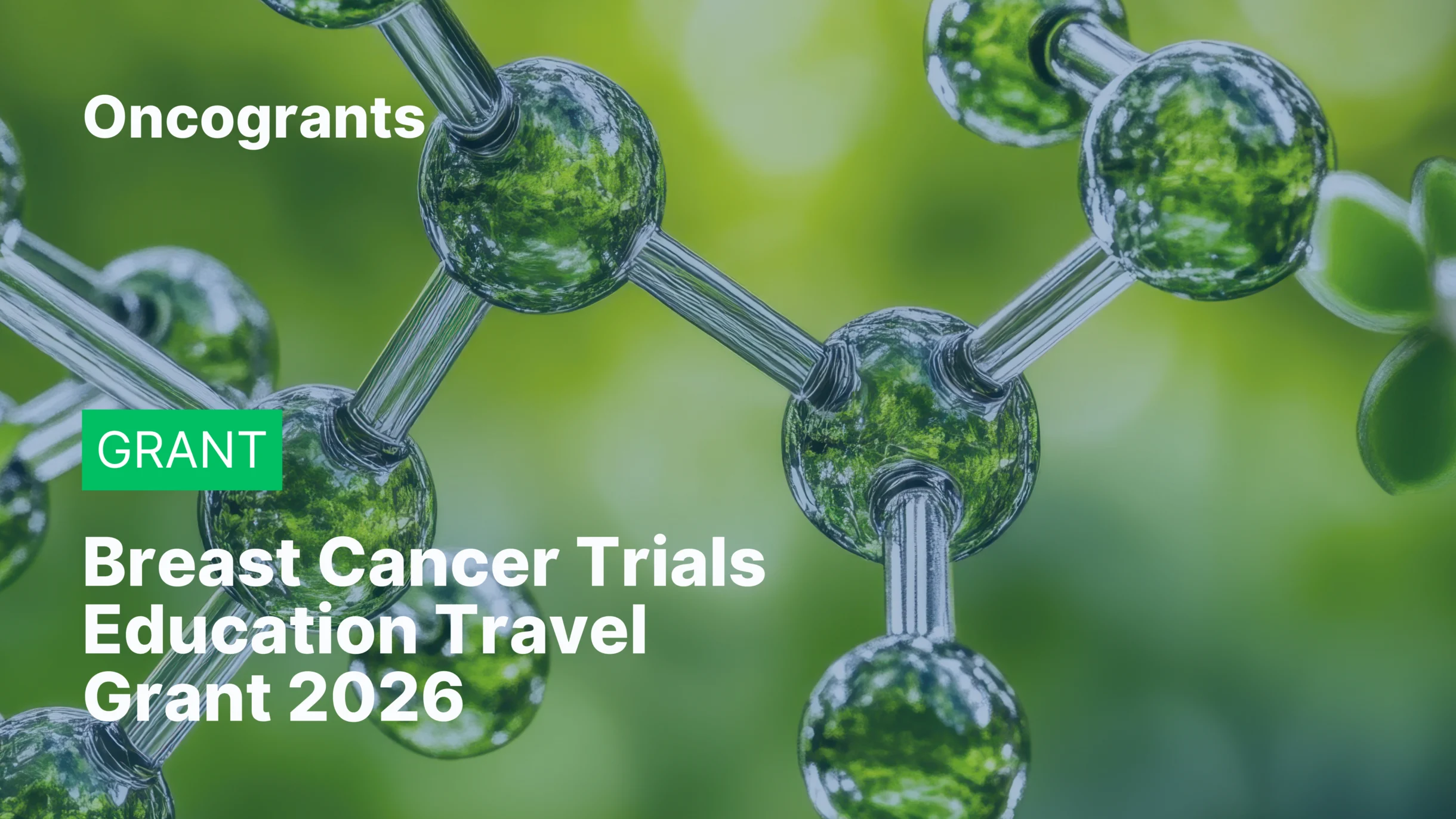 Breast Cancer Trials Education Travel Grant 2026