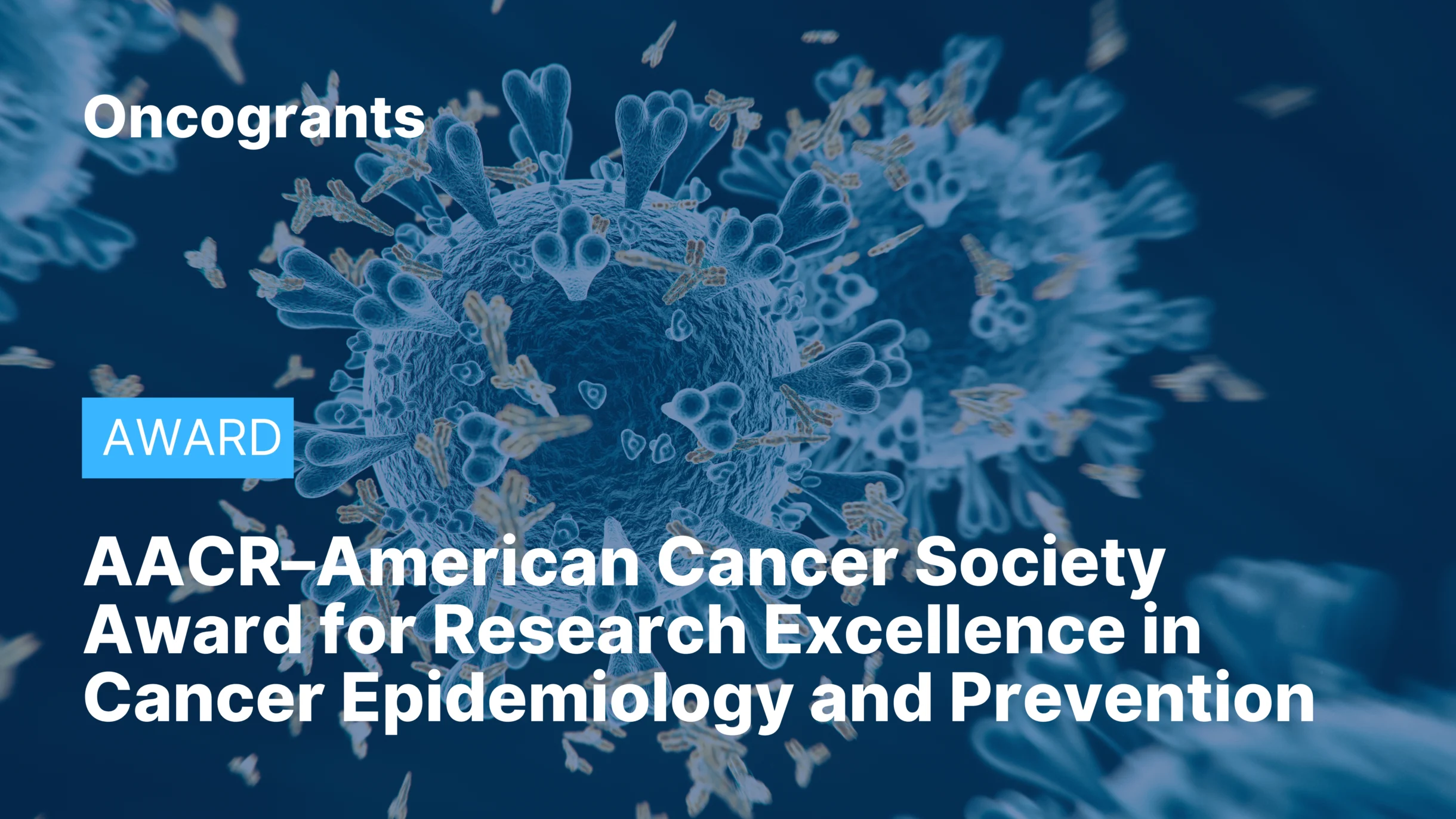 AACR–American Cancer Society Award for Research Excellence in Cancer Epidemiology and Prevention