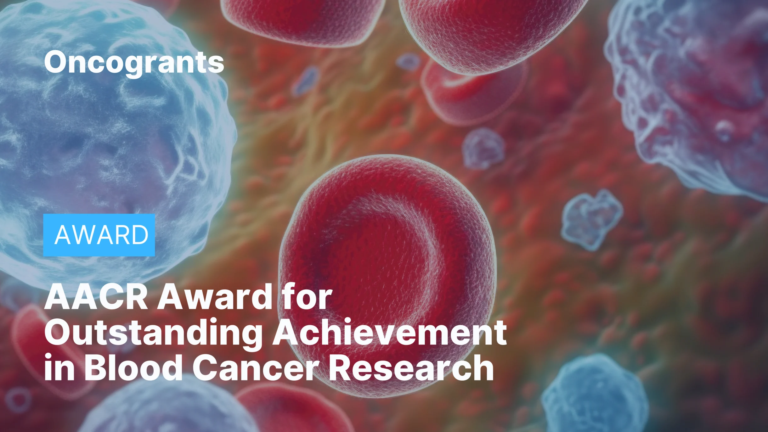 AACR Award for Outstanding Achievement in Blood Cancer Research