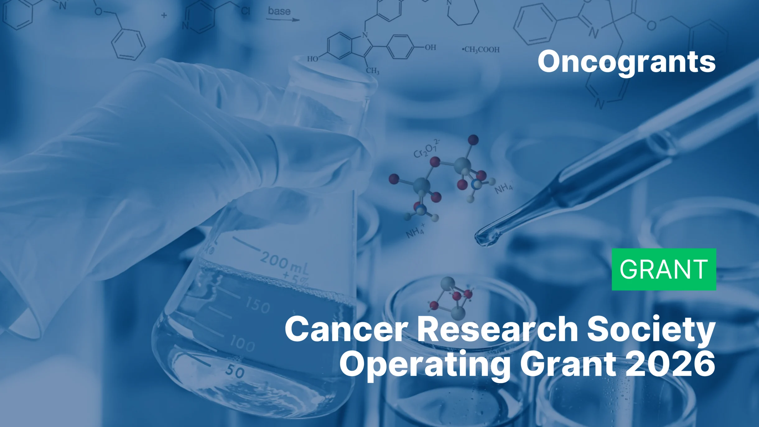 Cancer Research Society Operating Grant 2026