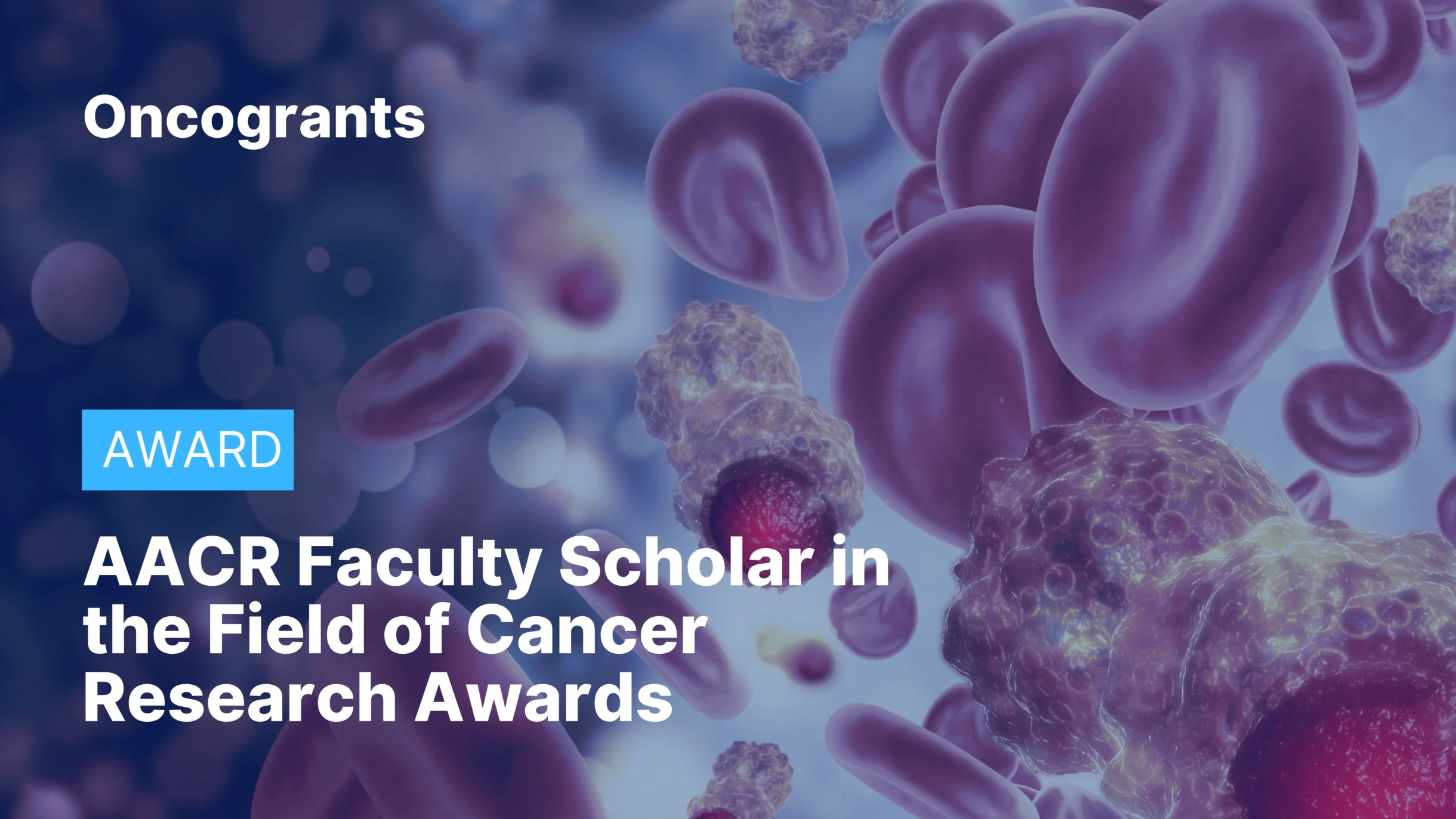 AACR Faculty Scholar in the Field of Cancer Research Awards