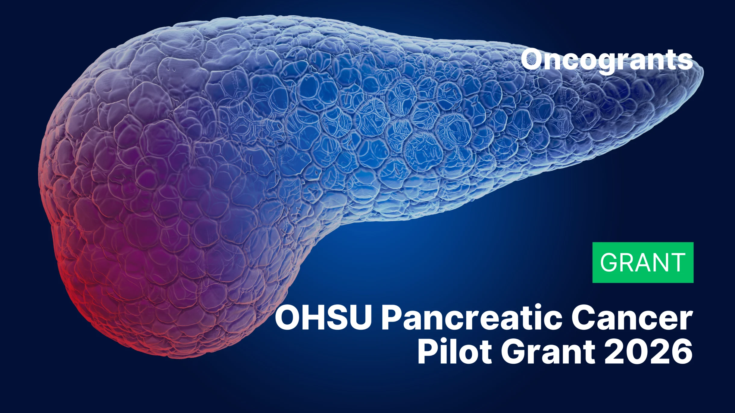 OHSU Pancreatic Cancer Pilot Grant 2026