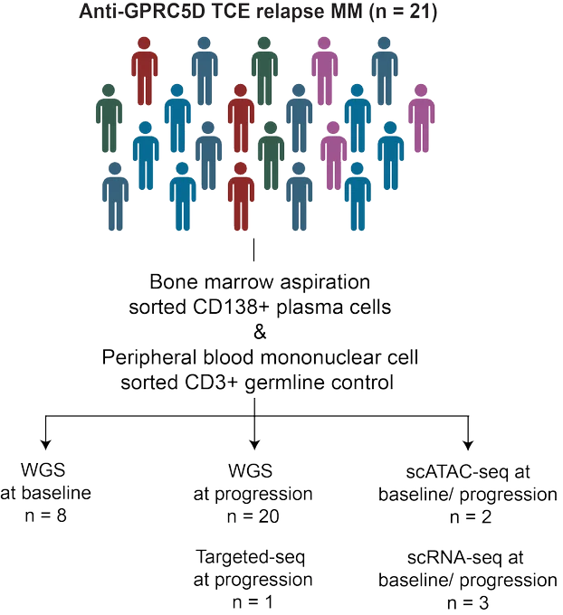 Rahul Banerjee: Everything We Didn’t Know About Resistance to GPRC5D Therapy in Myeloma
