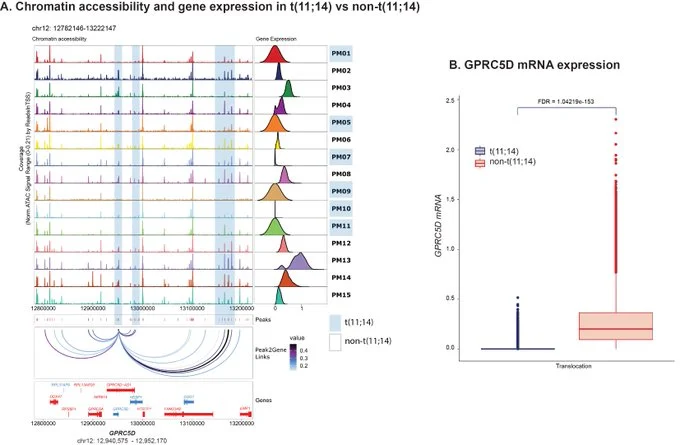 Rahul Banerjee: Everything We Didn’t Know About Resistance to GPRC5D Therapy in Myeloma