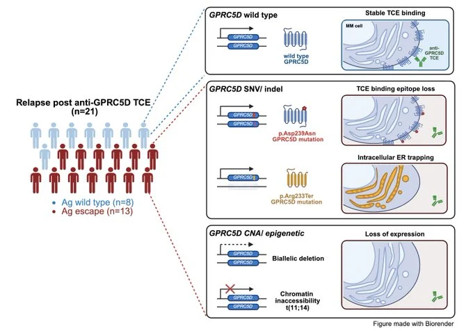 Rahul Banerjee: Everything We Didn’t Know About Resistance to GPRC5D Therapy in Myeloma
