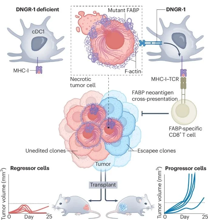 Julie Magarian Blander