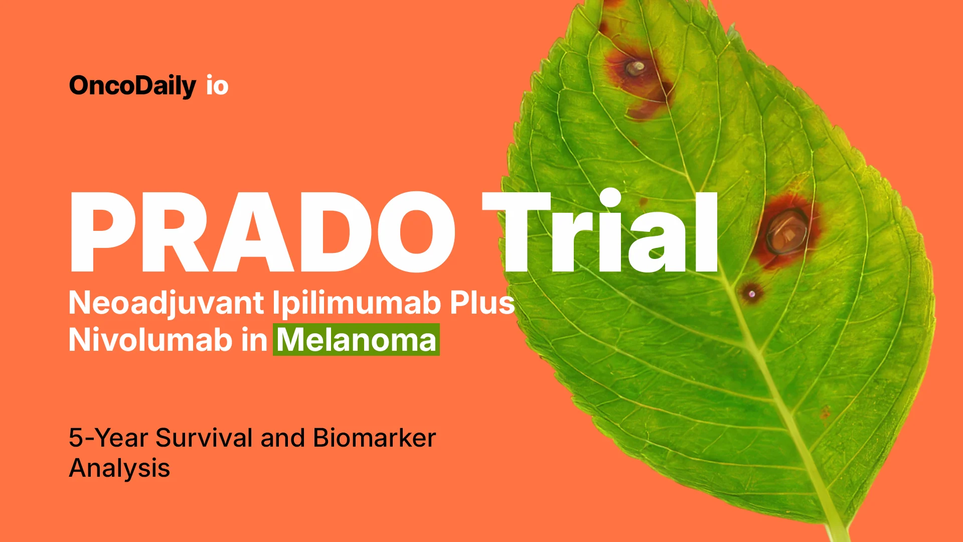 PRADO Trial: Neoadjuvant Ipilimumab Plus Nivolumab in Melanoma—5-Year Survival and Biomarker Analysis