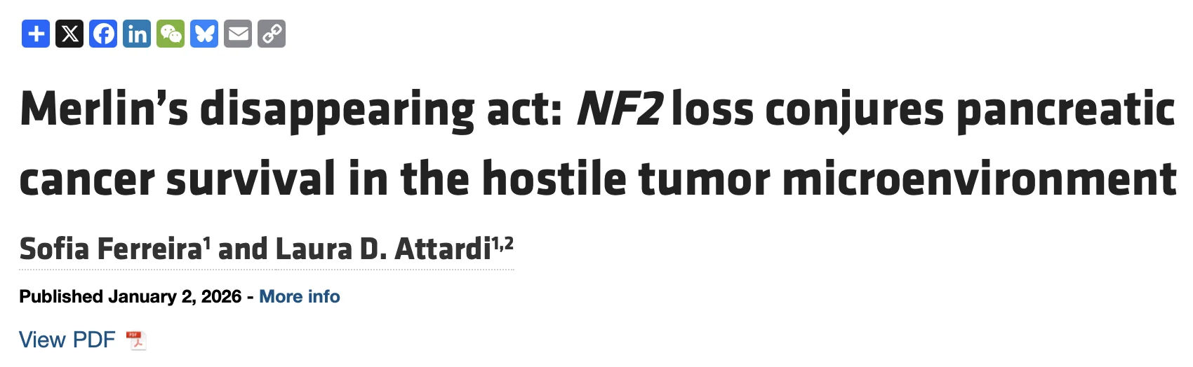 Laura Attardi: NF2 Loss and Merlin’s Role in Pancreatic Cancer Survival