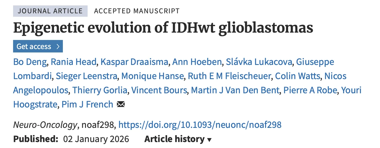 Giuseppe Lombardi: Epigenetic Stability Observed in Recurrent IDH-Wildtype Glioblastomas