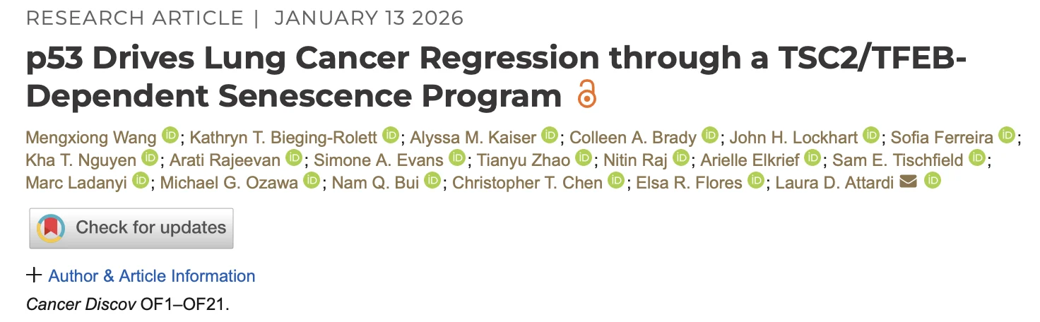 Laura Attardi: A Step Toward Drugging Undruggable p53 in Lung Adenocarcinoma
