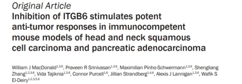 Wafik S. El-Deiry: Targeting ITGB6 to Stimulate Potent Anti-tumor Immunity