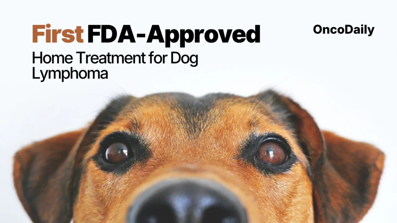A New Era in Dog Lymphoma Treatment: Tanovea and Laverdia Redefine Canine Cancer Care