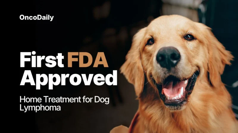 Dog Lymphoma Treatment