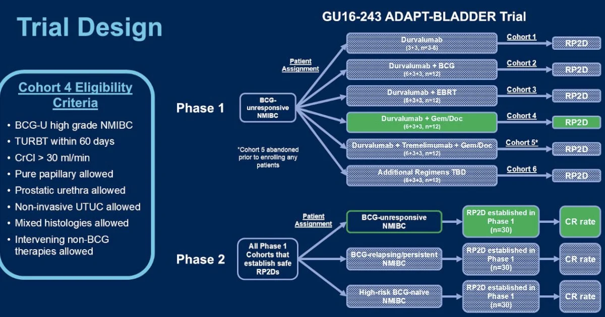 10 Ongoing Clinical Trials on Immunotherapy in Bladder Cancer 3 10 Ongoing Clinical Trials on Immunotherapy in Bladder Cancer