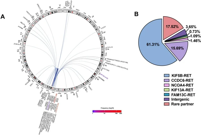 10 Must-Read Posts in Immuno-Oncology This Week