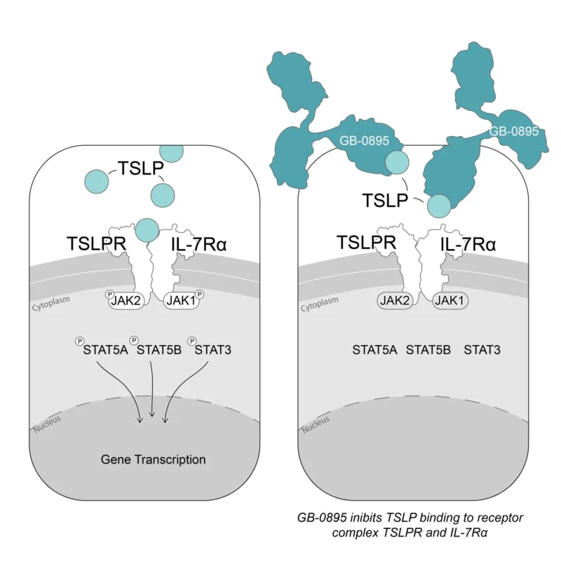 Alexandra Snyder/LinkedIn