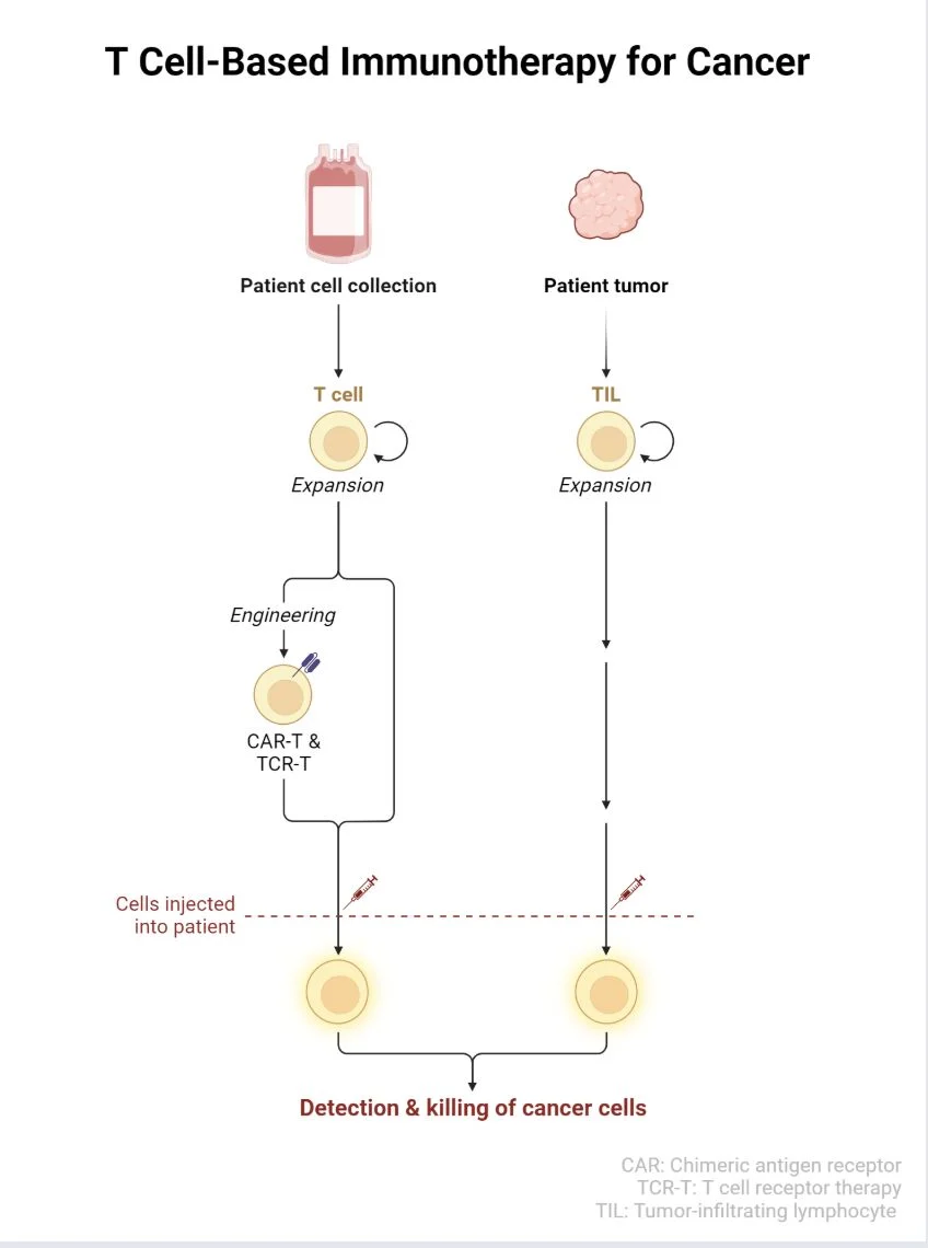 10 Must-Read Posts in Immuno-Oncology This Week