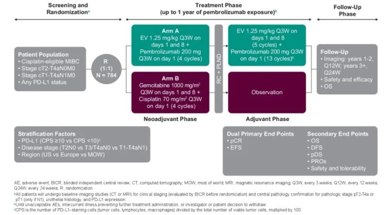 10 Must-Read Posts in Immuno-Oncology This Week