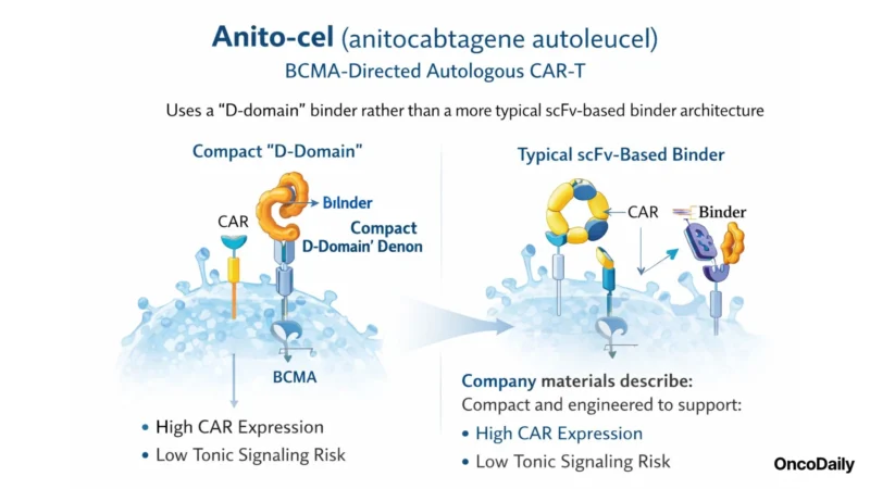 Gilead–Arcellx Deal: Up to $7.8B for Anito-cel CAR-T in Multiple Myeloma