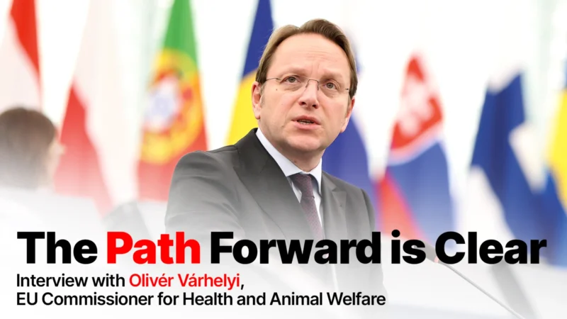 Europe is Proving that Policy, Prevention, and Innovation Together Can Save Lives – Cancer World