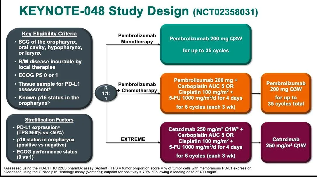 Low-Dose Immunotherapy: India’s Challenge to Conventional PD-1 Dosing