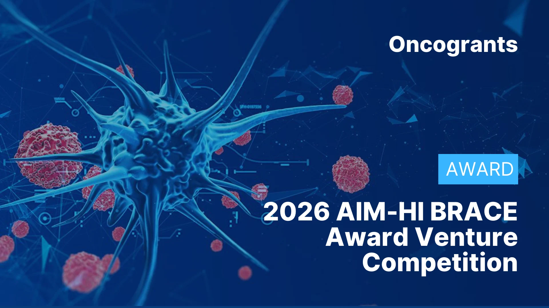 2026 AIM-HI BRACE Award Venture Competition