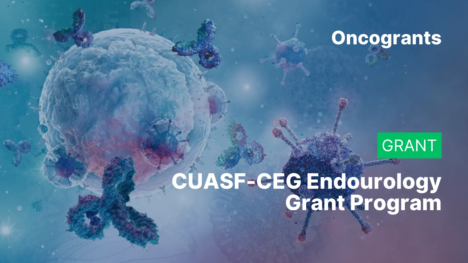 CUASF-CEG Endourology Grant Program