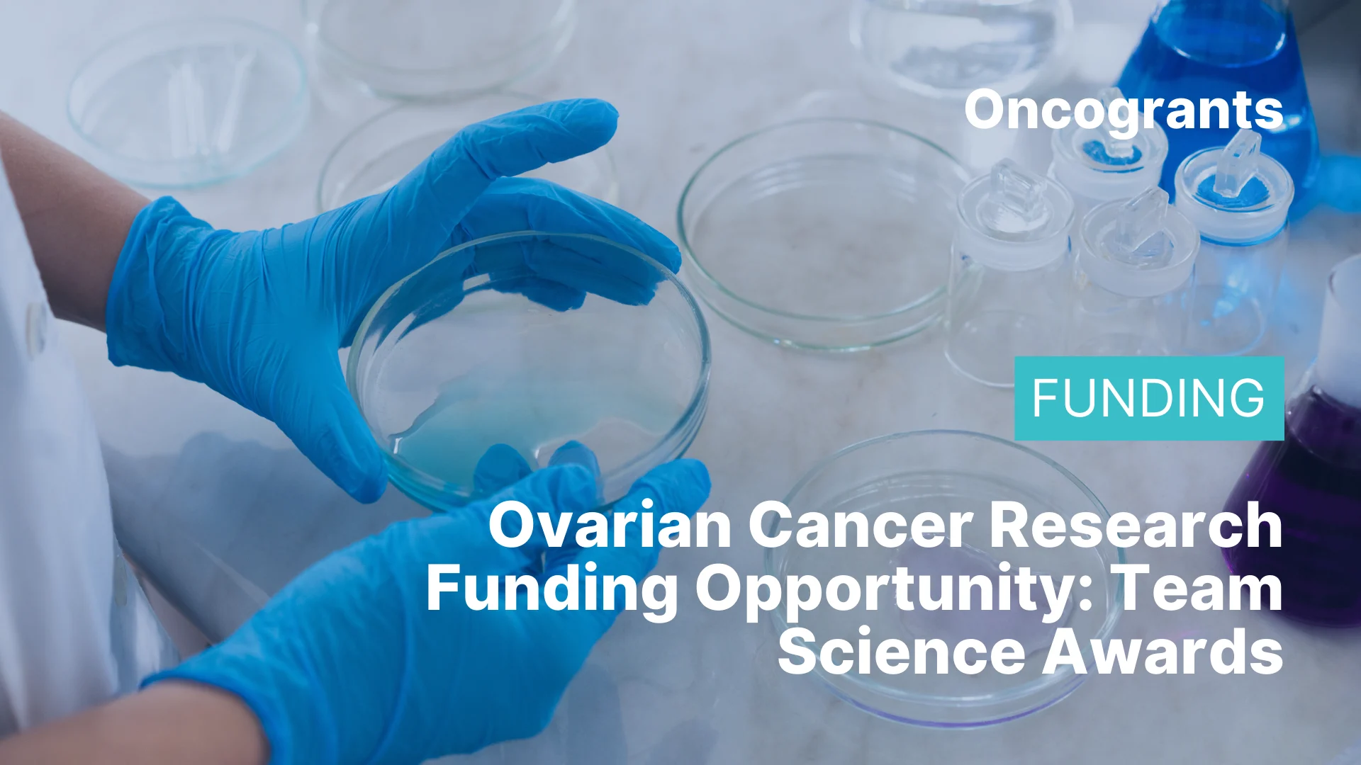 Ovarian Cancer Research Funding Opportunity FY 2026 Award Cycle (University of Colorado Cancer Center) — Team Science Awards