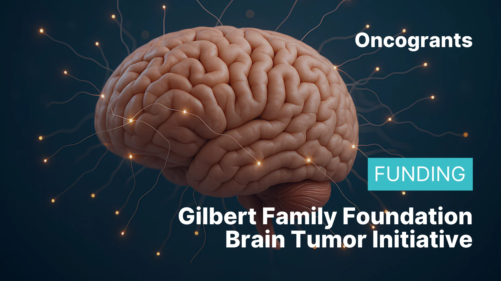 Gilbert Family Foundation Brain Tumor Initiative –