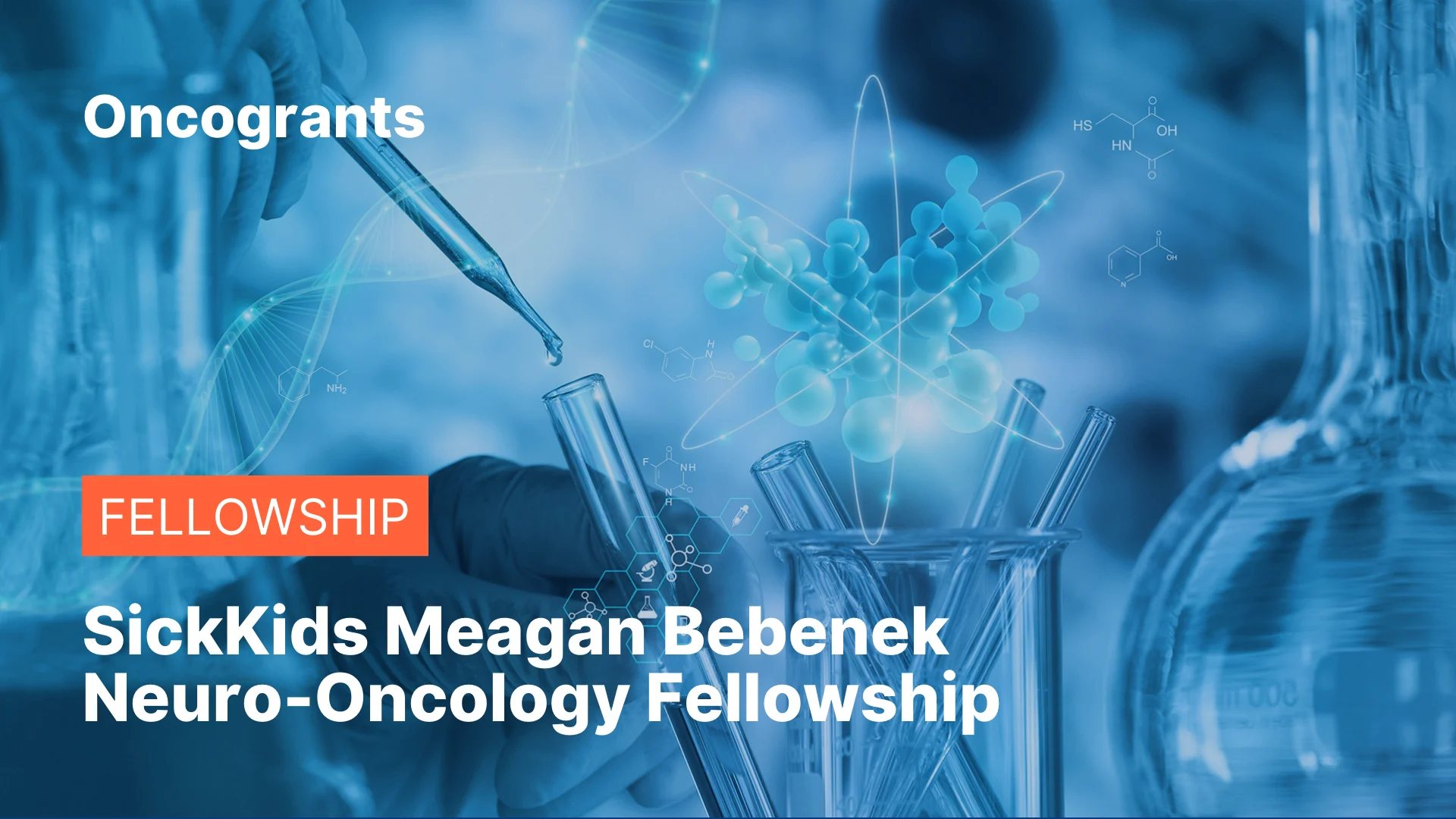 SickKids Meagan Bebenek Neuro-Oncology Fellowship