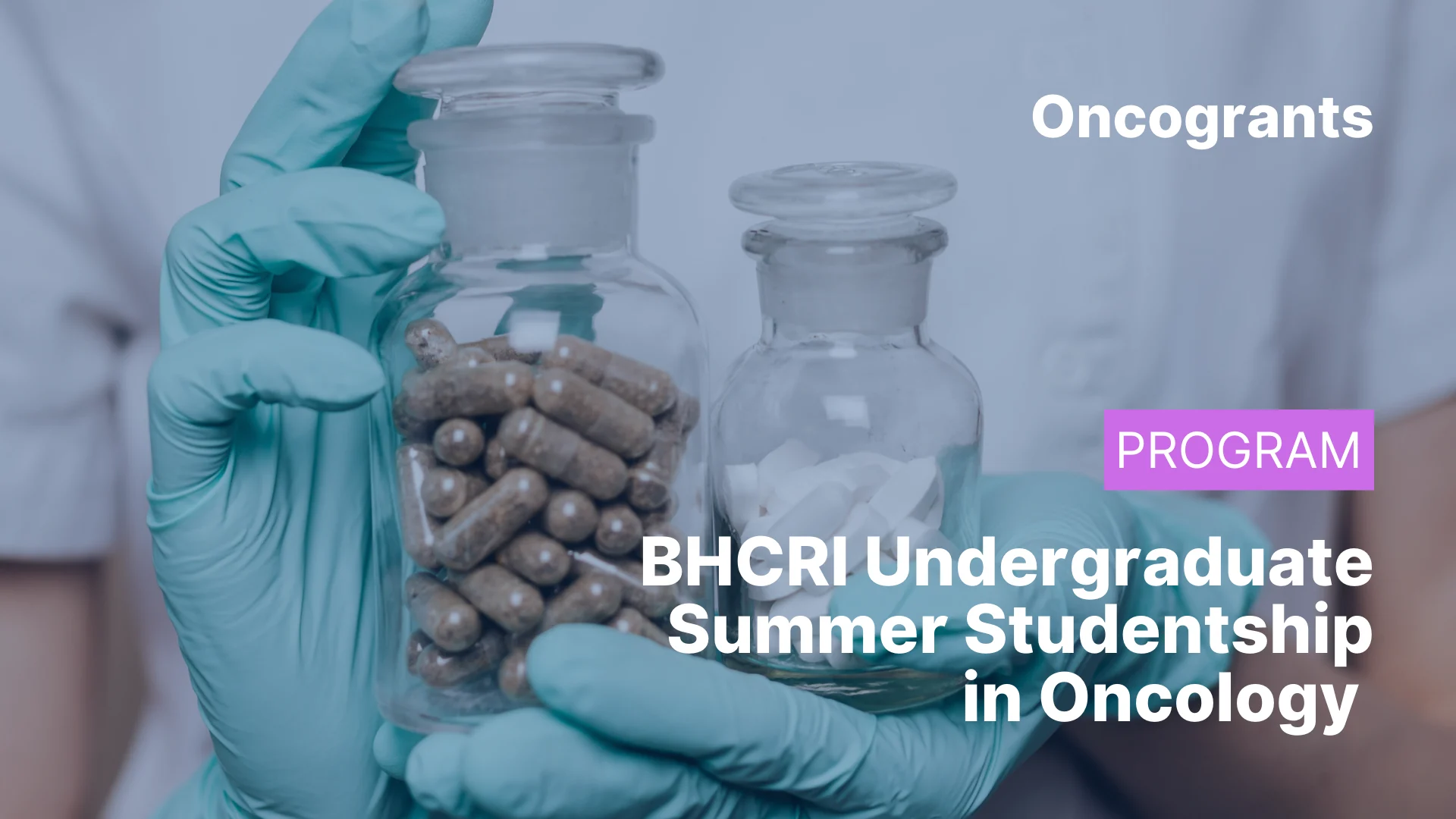 BHCRI Undergraduate Summer Studentship in Oncology
