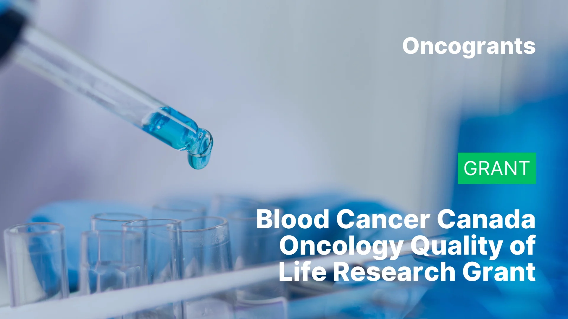Blood Cancer Canada Oncology Quality of Life Research Grant
