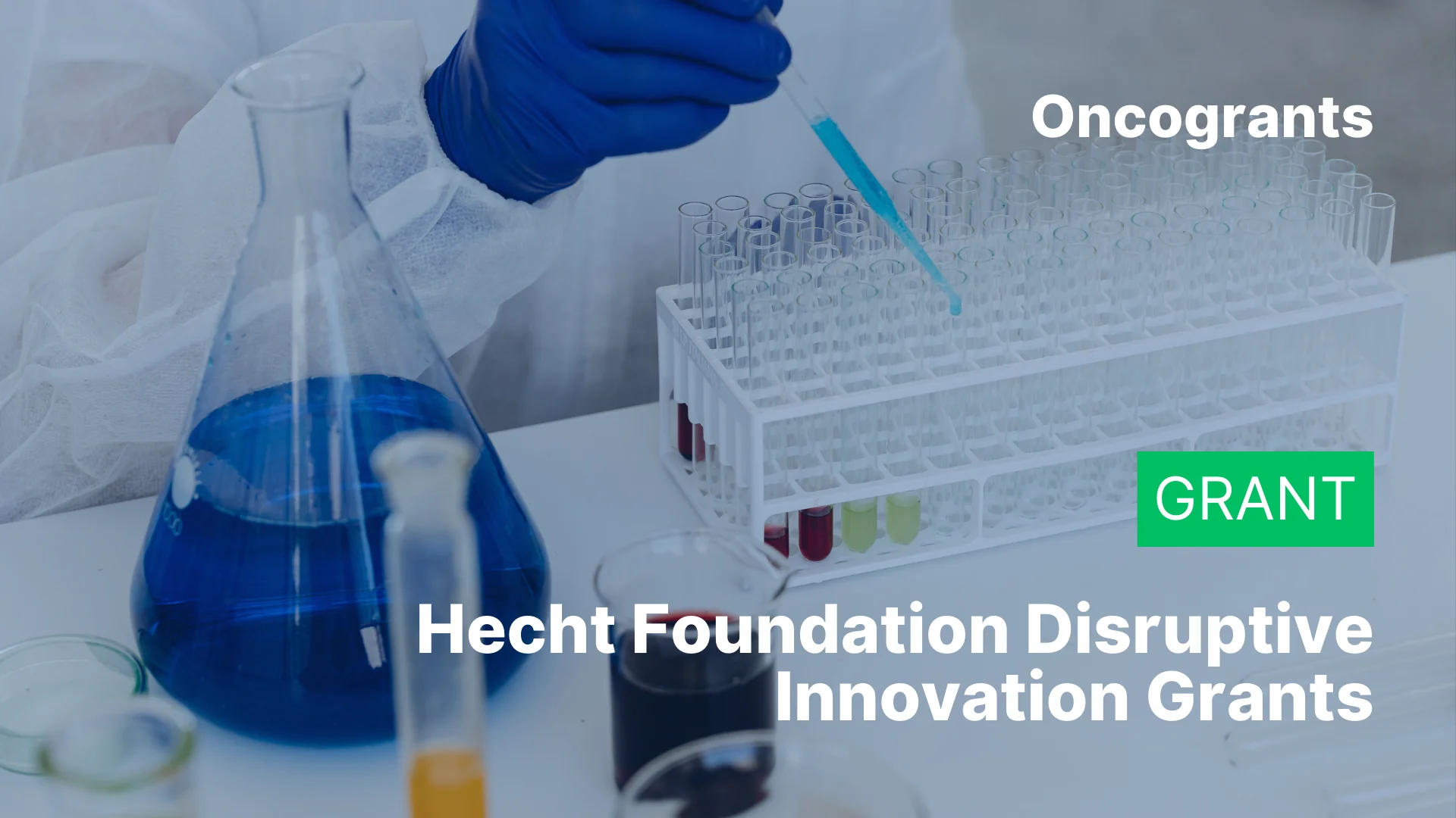 Hecht Foundation Disruptive Innovation Grants