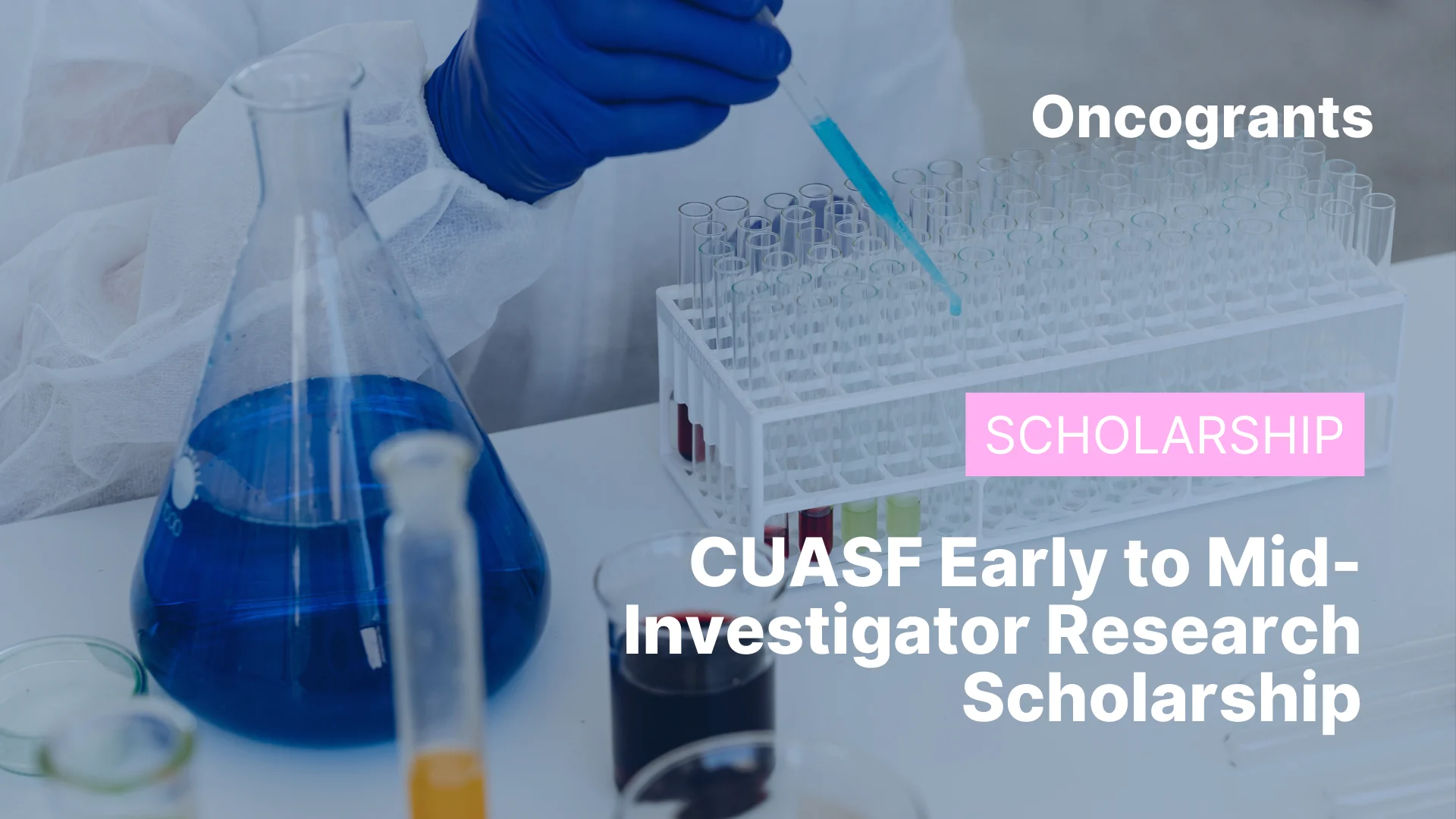 CUASF Early to Mid-Investigator Research Scholarship