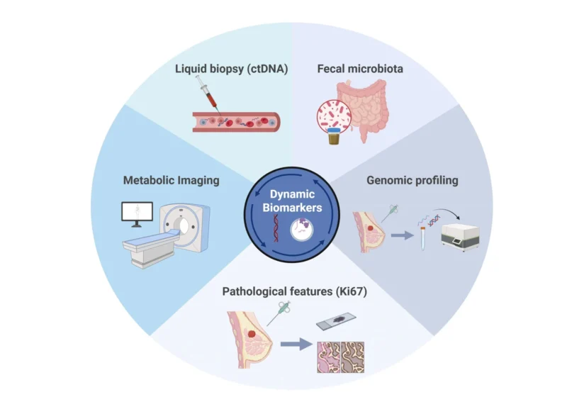Giuseppe Di Grazia: Our Latest Perspective Article on Dynamic Biomarkers in HR+/HER2- Breast Cancer