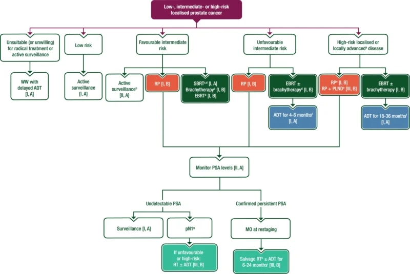 Tuğba Başoğlu: Modern Algorithms for Managing Localized and High-Risk Prostate Cancer 2 Tuğba Başoğlu