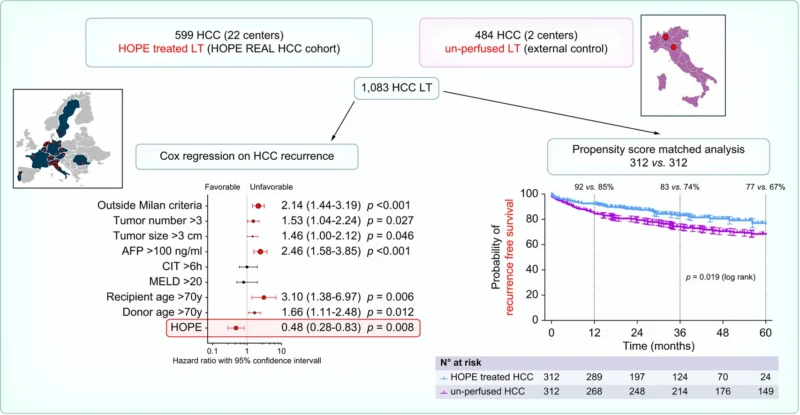Arndt Vogel: Hope for HCC Liver Transplant 2 Arndt Vogel: Hope for HCC Liver Transplant
