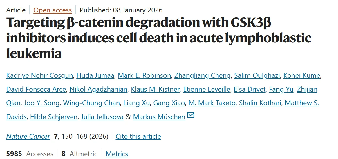 Susanna Fletcher Greer: Chaos in the Kitchen - New Path to Fighting Leukemia