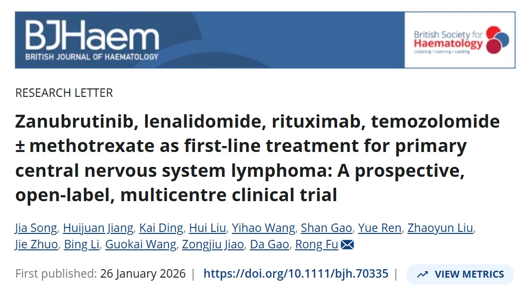 Mostafa Faisal: Compact Summary of PCNSL First-Line Trial