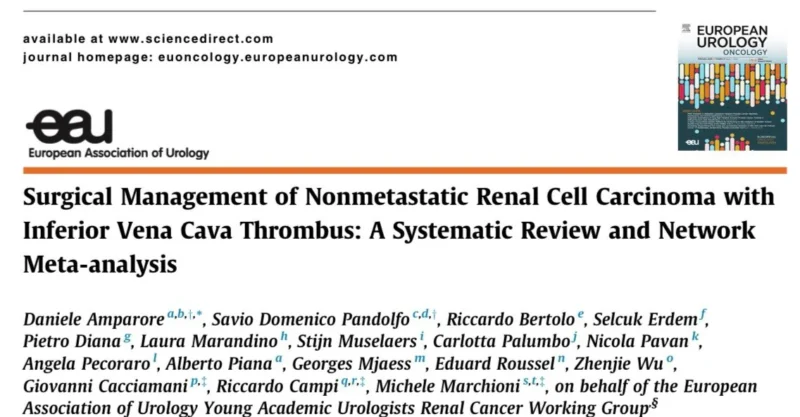 EAU-YAU Renal Cancer Working Group
