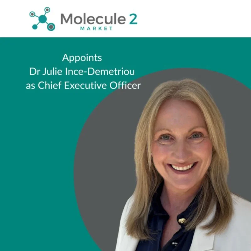 Julie Ince-Demetriou