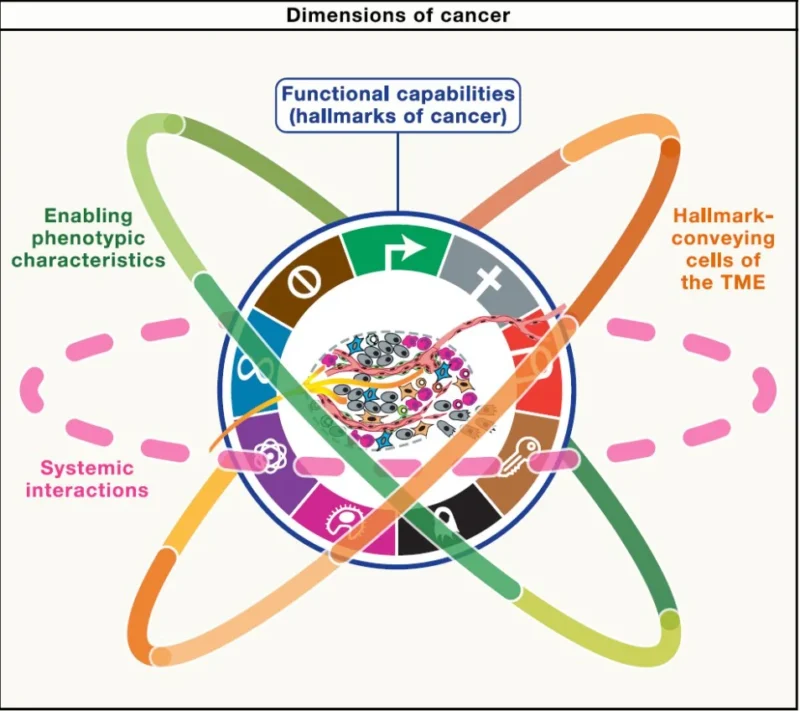 Jean-Charles Soria: Hallmarks of Cancer - What’s New Beyond the Original 6