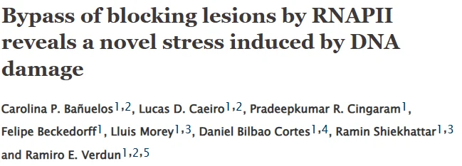 Carolina Paula Bañuelos