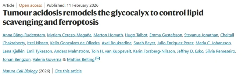 Giovanni Fucà: New Findings on Tumor Acidosis in Cancer Metabolism and Ferroptosis Vulnerability