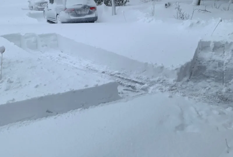 Susanna Fletcher Greer