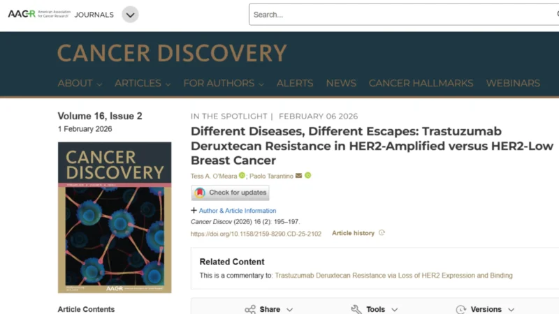 Tess O’Meara: Why T-DXd Resistance Differs in HER2+ and HER2-Low Breast Cancer