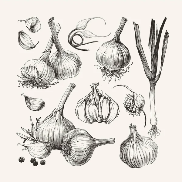 Does Garlic Prevent or Cure Cancer?
