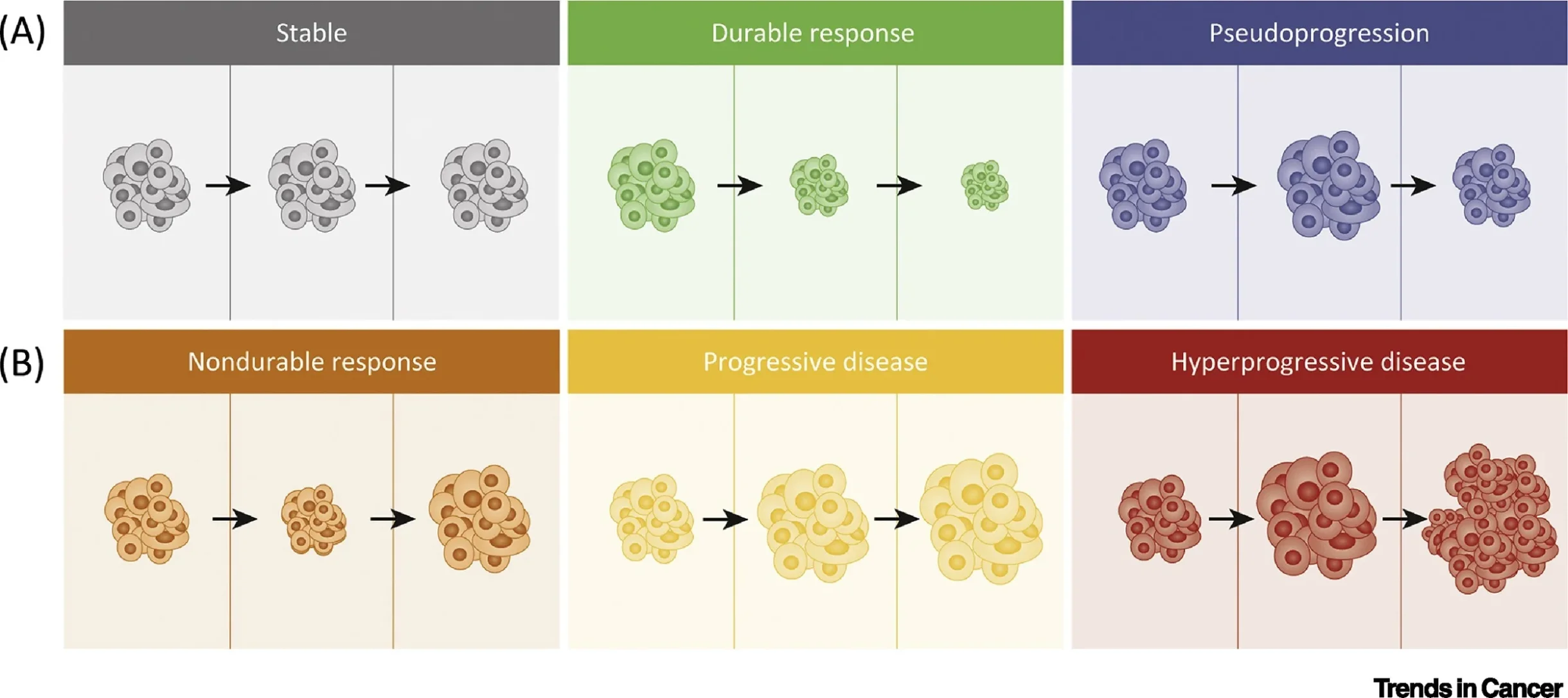 Pseudoprogression During Immune Checkpoint Inhibitor Therapy