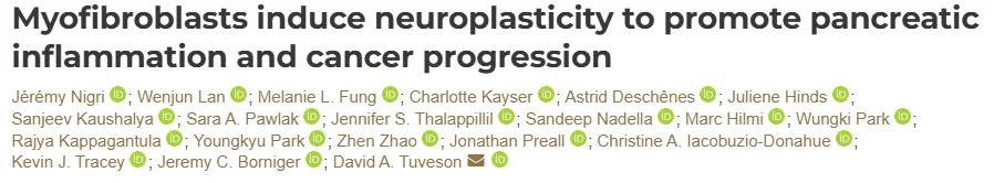 Anna Berkenblit: New Cancer Discovery Paper Reveals the Neuro-Mesenchymal Axis in Pancreatic Cancer