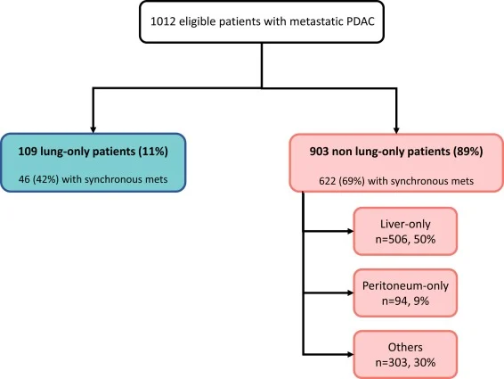 lung mts in PDAC